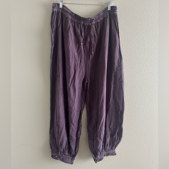 Gorgeous Plum Lightweight Harem Style Pants with Detail at the Ankle - Picture 1 of 4